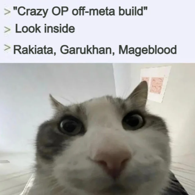 meme